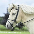 ICE-line Trense "BRAID"