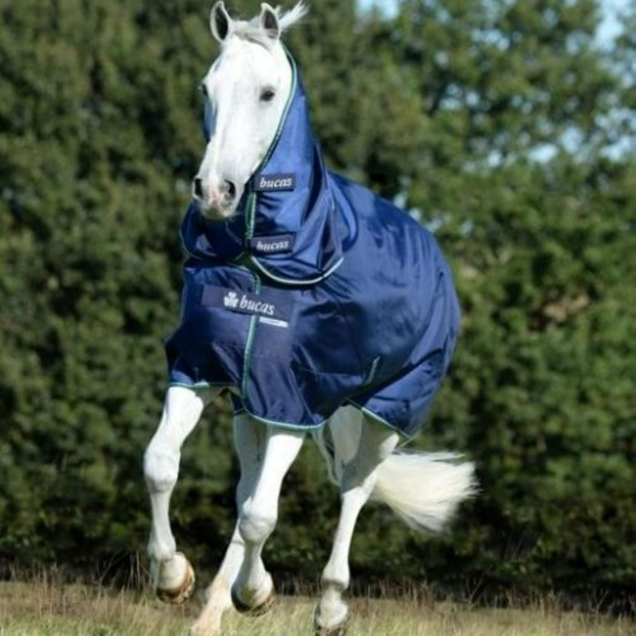 Bucas "SMARTEX COMBI NECK" von ICE - line - ICE - line Reitsport
