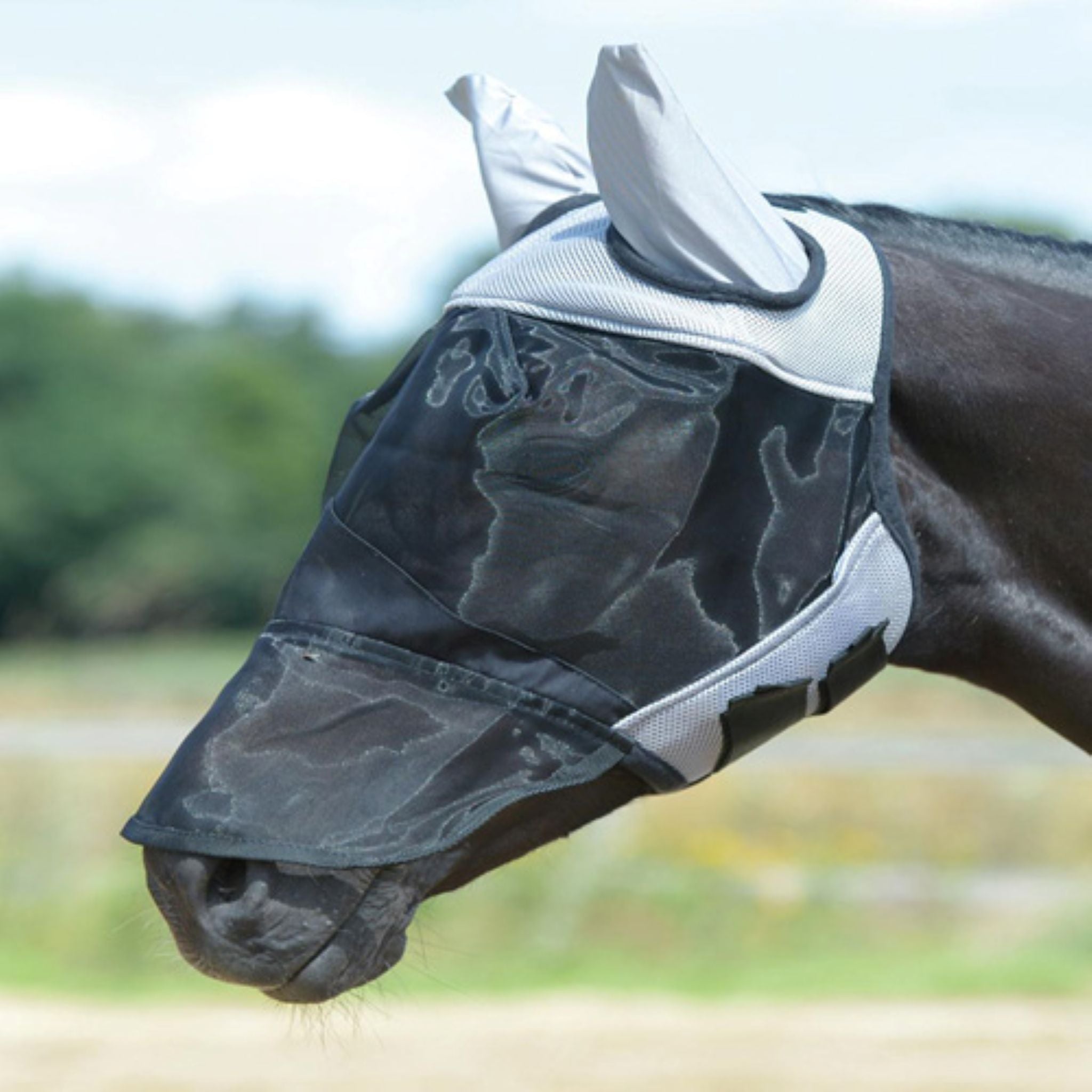 BUSSE Fliegenmaske "FLY COVER PRO", mit Ohrenschutz von ICE - Line - ICE - line Reitsport