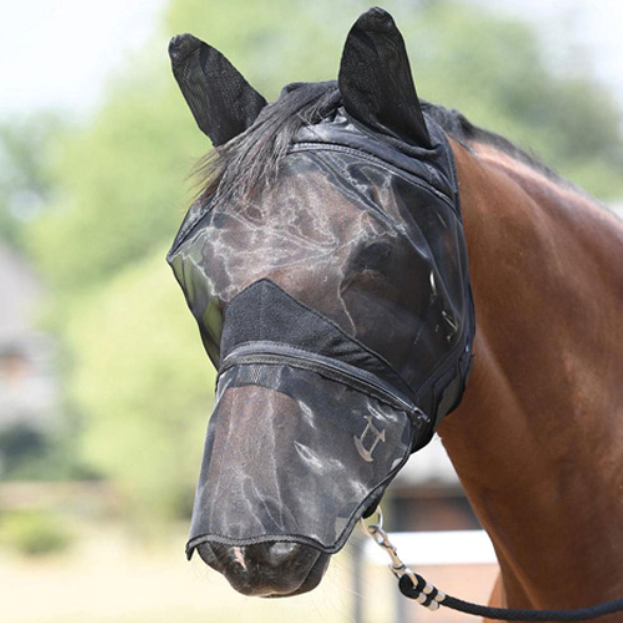 BUSSE Fliegenmaske "FLY PROTECTOR", mit Ohrenschutz von ICE - Line - ICE - line Reitsport