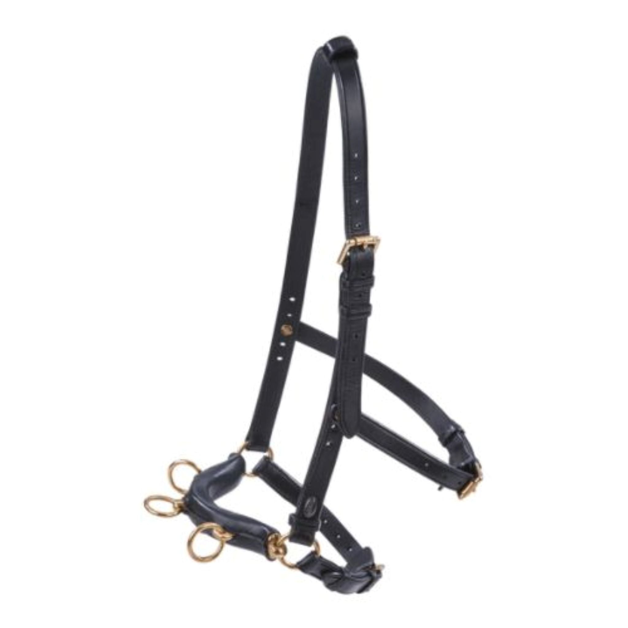 BUSSE Kappzaum "PROFESSIONAL" von ICE - line - ICE - line Reitsport