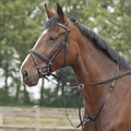 BUSSE "MARTINGAL BASIC - PRO" von ICE - Line - ICE - line Reitsport