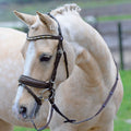 BUSSE Trense "COMFORT PLUS", braun von ICE - line - ICE - line Reitsport
