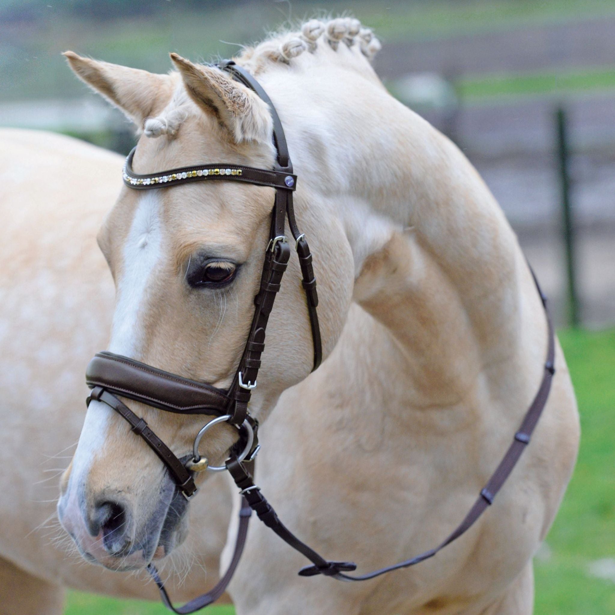 BUSSE Trense "COMFORT PLUS", braun von ICE - line - ICE - line Reitsport