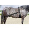 »CoraLe« Trainingssystem von ICE - Line - ICE - line Reitsport