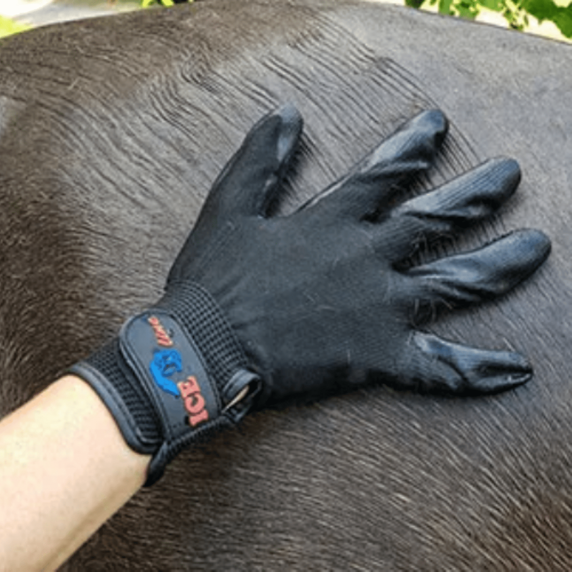 ICE-line PREMIUM Fellpflegehandschuh / Handschuh-Größe:L – ICE-line Reitsport